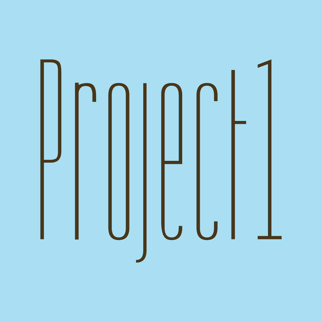 Project 1 Services Ltd